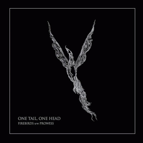 One Tail, One Head : Firebirds BW Prowess